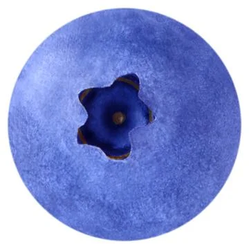 Berries on white background Stock Photos