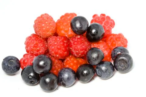 Berries  on a white background Stock Photos