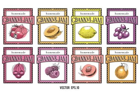 Berry and fruit labels set. Vintage style design template. Hand drawn vector Stock Illustration