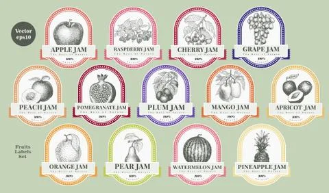Berry and fruit labels set. Vintage style design template. Hand drawn vector Stock Illustration