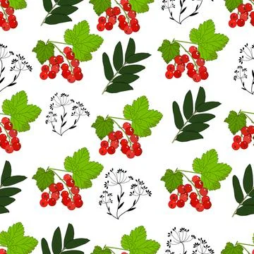 Berry and twig. Stock Illustration