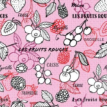 Berry background pattern with fruit names in French language. Vector. Stock Illustration