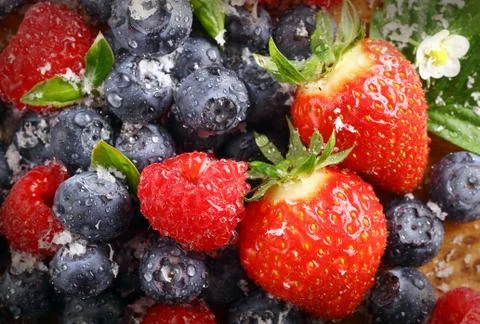 Berry background with water droplets Stock Photos