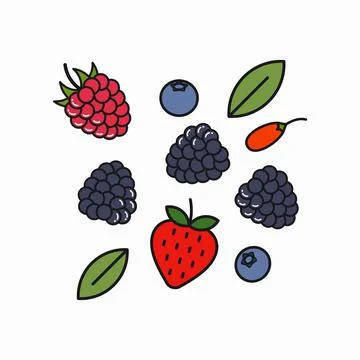 Berry blend logo. Raspberry, blueberry and goji 스톡 일러스트