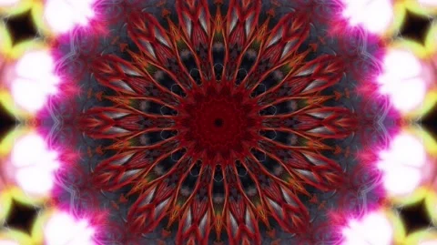 Berry Bloom Kaleidoscope Stock Footage 245603261