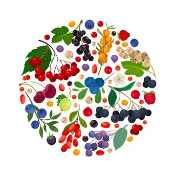 Berry Branch Round Composition Design with Sweet Tasty Garden Crop Vector Stock Illustration