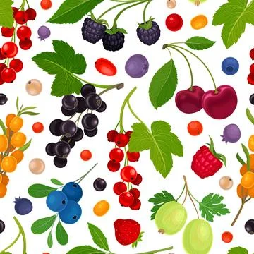 Berry Branch Seamless Pattern Design with Sweet Tasty Garden Crop Vector 库存插图