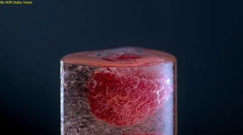 BERRY IN BUBBLES Stock Photos