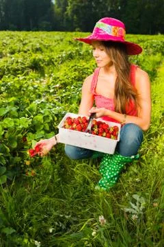 Berry checking Fotos Stock