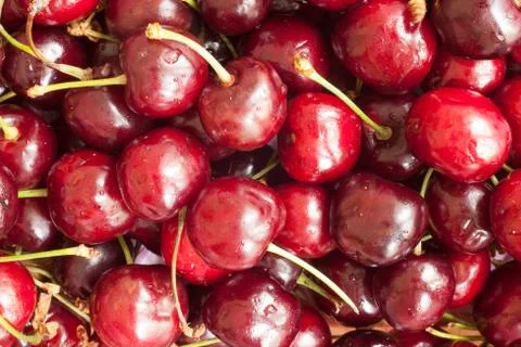 Berry cherry Foto stock