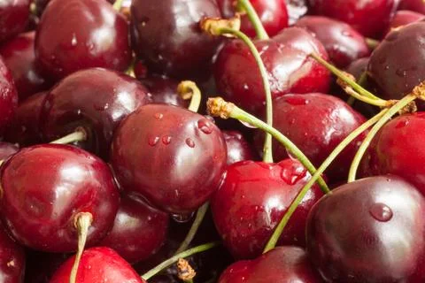 Berry cherry 库存照片