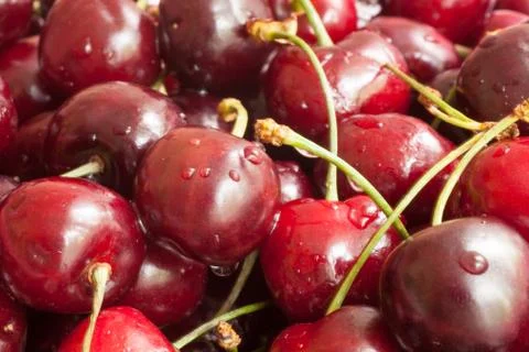 Berry cherry Foto stock