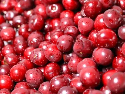 Berry cherry Stock Photos