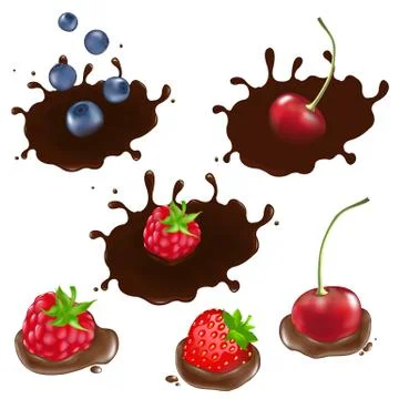 Berry in chocolate Stock Illustration