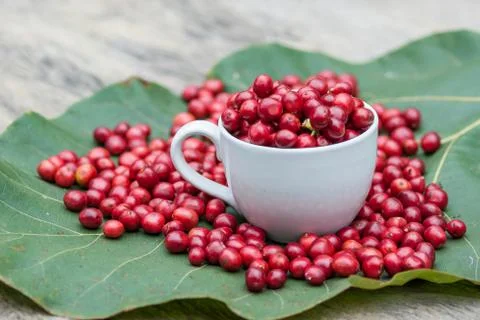 Berry coffee Stock Photos