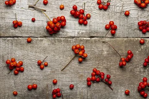 Berry composition. Pattern of ripe autumn rowan berries on a rustic backgroun Foto stock