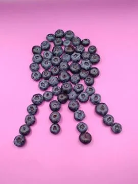 Berry figurines Foto stock