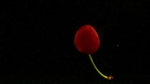 Berry Video stock 132608805