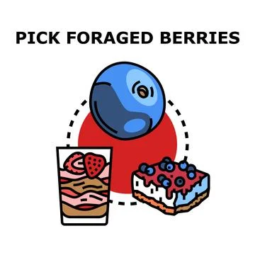 Berry foraging concept with desserts and healthy food Stock Illustration