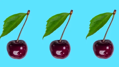Berry fruit animation of moving red cherries with a leaf on a blue background Stock Footage 221627218