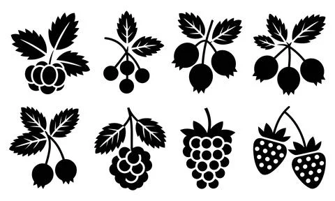 Berry fruit icon set bold black vector illustration イラスト素材