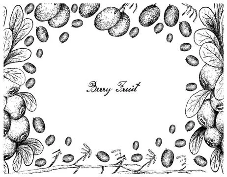 Berry Fruit, Illustration Frame of Hand Drawn Sketch of Cranberries and Blueb Stock Illustration