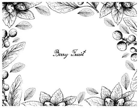 Berry Fruit, Illustration Frame of Hand Drawn Sketch of Dwarf Whitebeam, Fals Stock Illustration