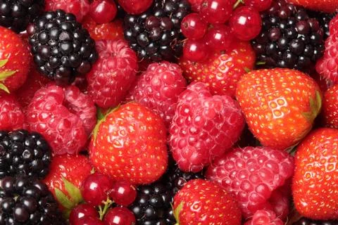 Berry fruit Stock Photos
