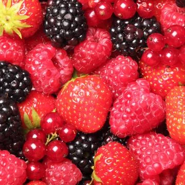 Berry fruit Stock Photos