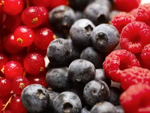 Berry fruit Stock Photos