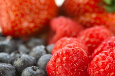 Berry Fruit Stock Photos