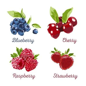 Berry Hand drawn vector set. Berry colorful marker illustration. Raspberry, s Stock Illustration
