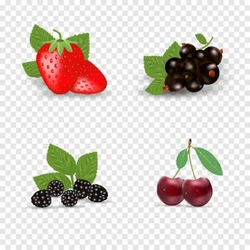 Berry icon set. Black currant, backberry, strawberry and cherry. Berries with Stock Illustration
