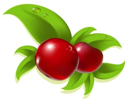 Berry Stock Illustration