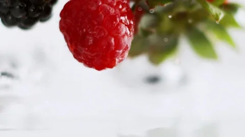 Berry Medley Splash Stock Footage 70362705