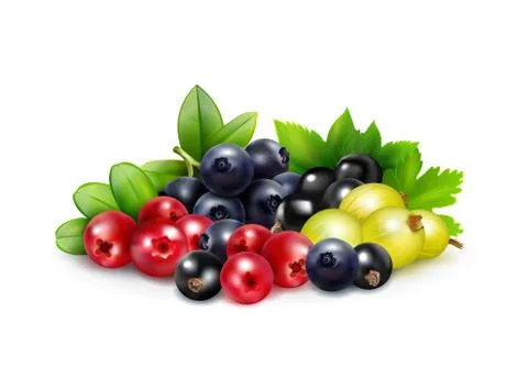Berry Mix Realistic Concept 스톡 일러스트