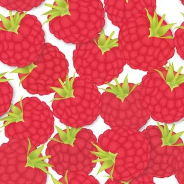 Berry pattern. raspberry seamless background. Food ingredients Illustrazione stock