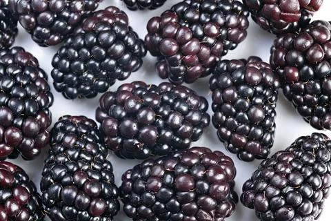 Berry pattern repeat, Overlapping vibrant berry background, Closeup of vivid ove Stock Photos