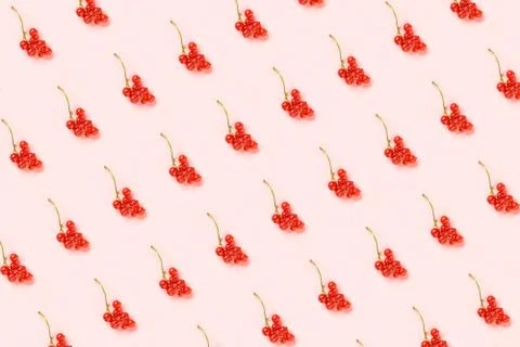 Berry pattern. Twigs of red currant berry on pink paper background. Minimal s Stock Photos