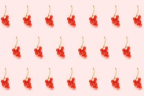 Berry pattern. Twigs of red currant berry on pink paper background. Minimal s Stock Photos