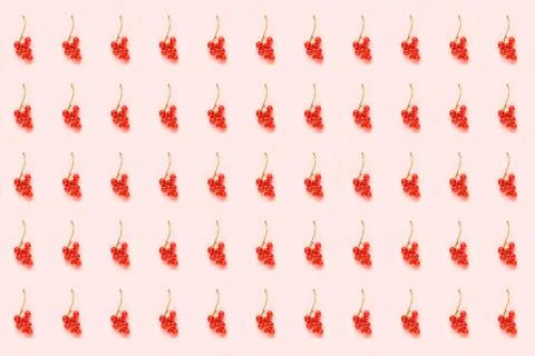Berry pattern. Twigs of red currant berry on pink paper background. Minimal s 스톡 사진
