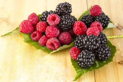 Berry Stock Photos