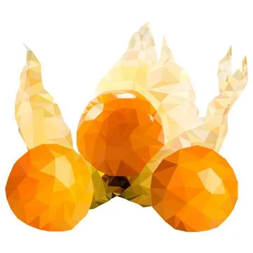 Berry Physalis Stock Illustration