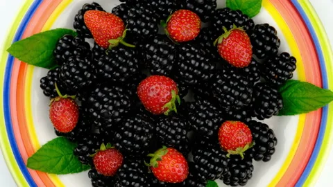 Berry plate 動画素材 137601099