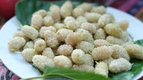 Berry on the plate Stock Footage 294063764