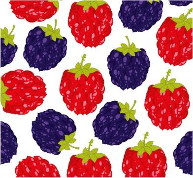 Berry raspberry and blackberry pattern on white background is insulated Stock Illustration