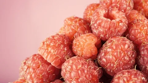 Berry raspberry red saturated color. Pink isolated background Stock Footage 115443243