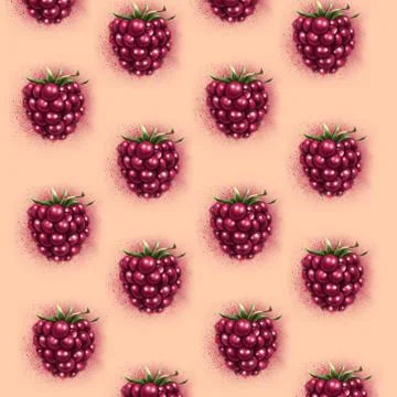 Berry raspberry set for label, package and other designs. Stock Illustration