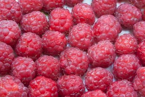 Berry  red  raspberry  fruit Stock Photos
