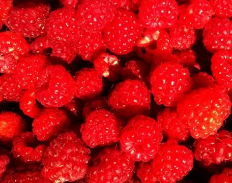 Berry ripe Stock Photos